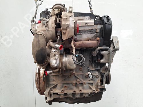 Engine VW POLO VI (AW1, BZ1, AE1) 1.6 TDI | BP28039648M1 