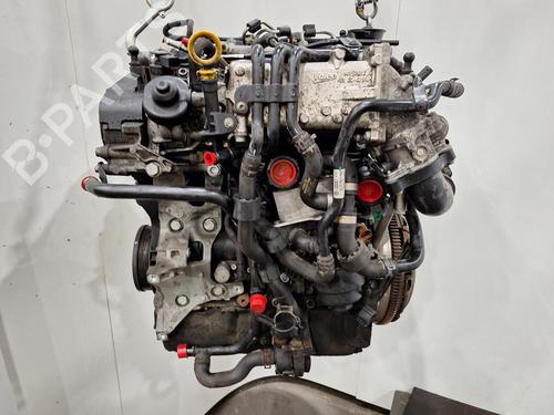 Engine VW GOLF VII (5G1, BQ1, BE1, BE2) 2.0 TDI | BP29397888M1 
