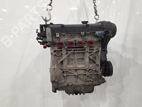 Moteur FORD FOCUS II (DA_, HCP, DP) 1.6 | BP29922971M1