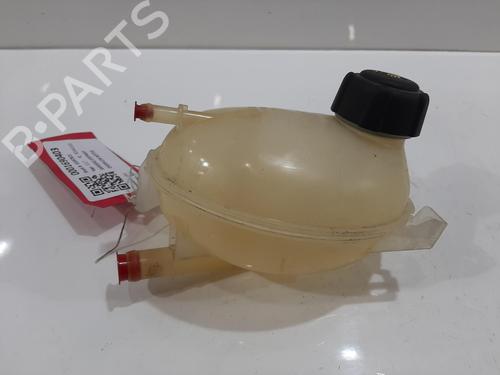 expansion-tank-dacia-sandero-ii-2012-33988217 main image