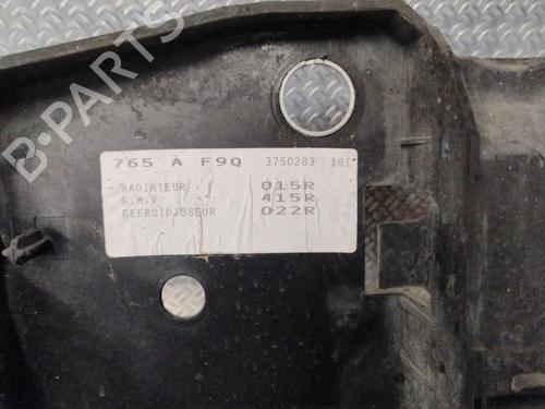 Used Support RENAULT SCÉNIC III (JZ0/1_) 1.9 dCi (JZ0J, JZ1J, JZ1K, JZ1S) (131 hp) 28573132
