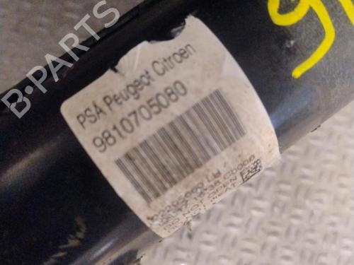 Left front shock absorber CITROËN C4 CACTUS 1.2 VTi 82 | BP38473810M16 - Image 6