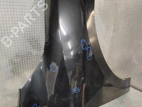 Right front fenders RENAULT MEGANE III Hatchback (BZ0/1_, B3_) 1.5 dCi (BZ0C) | BP24706519C42