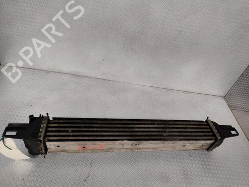 Annen CITROËN NEMO MPV 1.3 HDi 75 (75 hp) 29601233