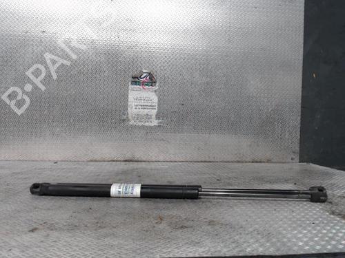 Used Tailgate lift support PEUGEOT 307 Break (3E) 2.0 HDI 110 (107 hp) 24095278
