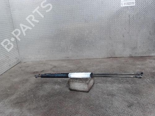 Used Tailgate lift support FIAT PANDA (169_) 1.1 (169.AXA1A) (54 hp) 24086649