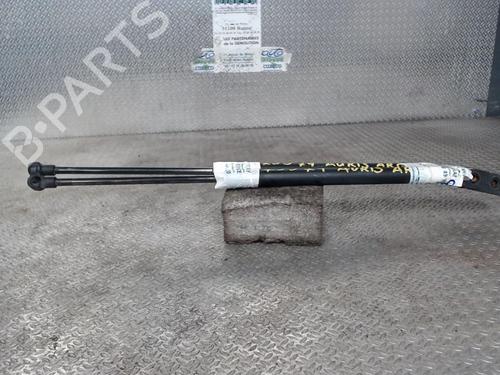 tailgate-lift-support-toyota-auris-_e15_-2006-2007-2008-2009-2010-2011-2012-2013-24078768 main image