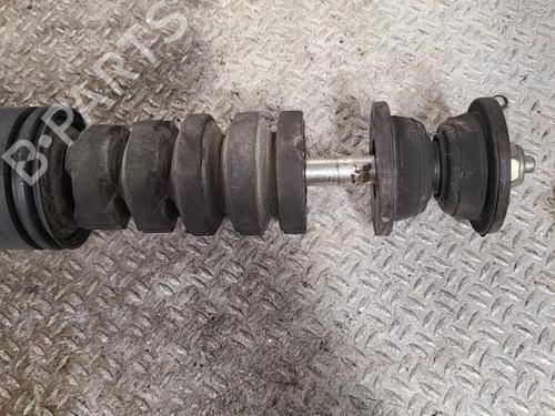 Used Right rear shock absorber RENAULT CLIO III (BR0/1, CR0/1) 1.6 16V (BR05, BR0B, BR0Y, BR15, BR1J, BR1M, BR1Y, CR0B,... (112 hp) 24099302