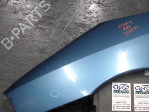 Left front fenders PEUGEOT EXPERT (224_) 1.9 D | BP24069797C41 