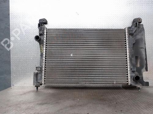 Used Water radiator FIAT GRANDE PUNTO (199_) 1.2 (65 hp) 24079686