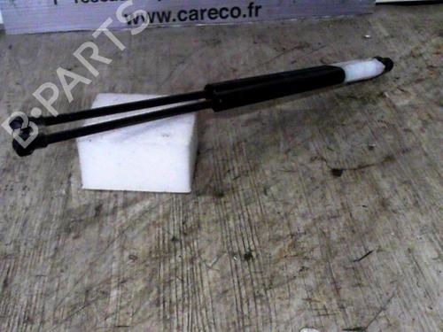 Used Tailgate lift support Tailgate lift support RENAULT SCÉNIC I MPV (JA0/1_, FA0_) 1.9 dCi (JA05, JA1F) (102 hp) 24068076 24068076