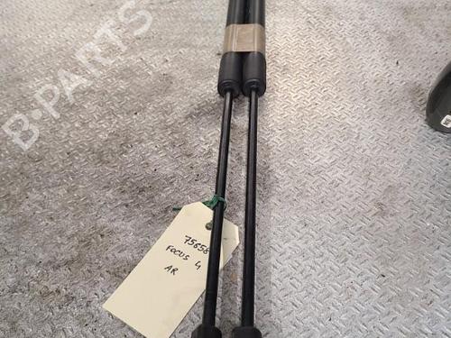 tailgate-lift-support-ford-focus-iv-hn-2018-24100275 main image