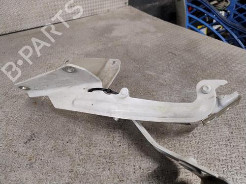 Hinge/Door check strap RENAULT KANGOO Express (FW0/1_) 1.5 dCi 75 (FW07, FW10, FW04) | BP32457160C146