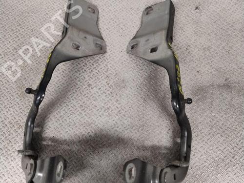 Used Hinge/Door check strap Hinge/Door check strap RENAULT MEGANE III Coupe (DZ0/1_) 1.5 dCi (DZ0A) (86 hp) 36462219 36462219