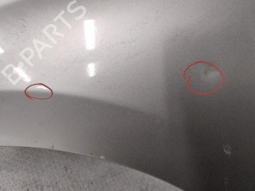 Used Left front fenders PEUGEOT 207 (WA_, WC_) 1.6 16V VTi (120 hp) 29577274