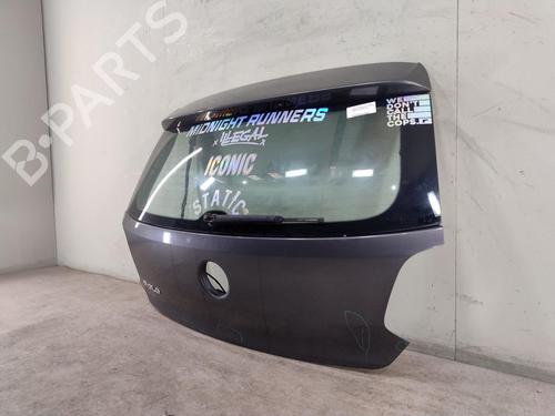 Tailgate VW POLO V (6R1, 6C1) 1.2 TDI | BP25704431C6 