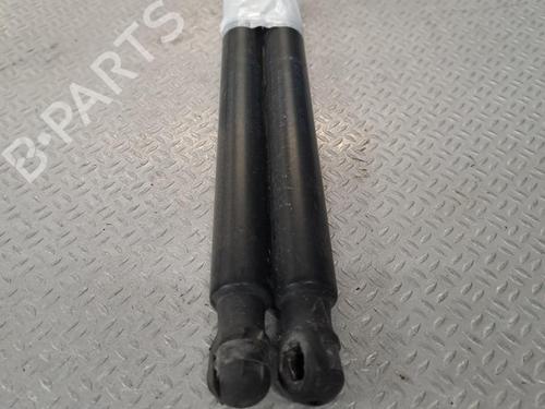Used Tailgate lift support FORD FOCUS III Saloon 1.6 TDCi (95 hp) 24061467