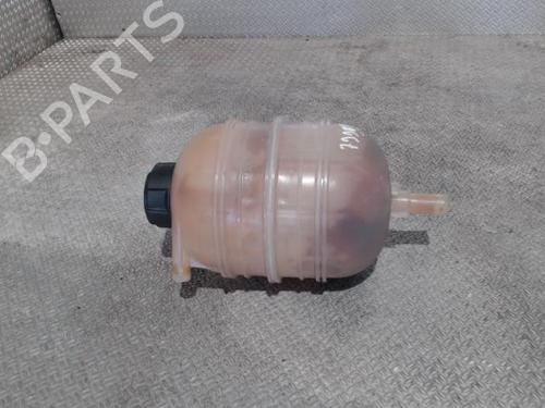 Used Expansion tank PEUGEOT 206+ (2L_, 2M_) 1.1 (60 hp) 24089684