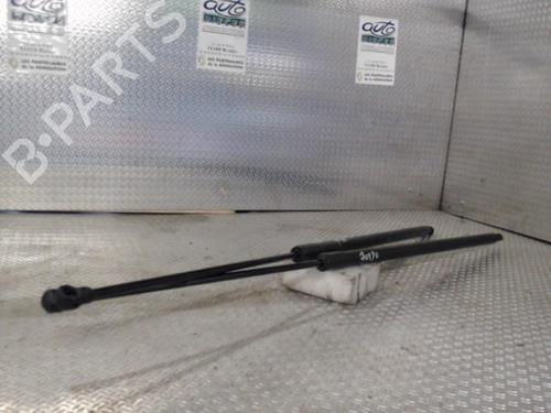 tailgate-lift-support-renault-kangoo-express-fw01_-2008-24072475 main image