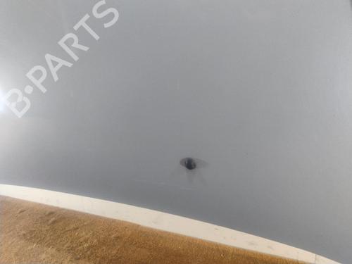 Used Hood Hood RENAULT SCÉNIC I MPV (JA0/1_, FA0_) 1.6 (JA00, JA16, JA15, JA19, JA1V, JA2B, JA2C, JA0B,... (107 hp) 34105858 34105858