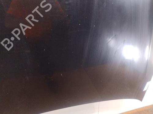 Hood VW POLO IV (9N_, 9A_) 1.4 TDI | BP29757573C1 
