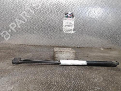 tailgate-lift-support-suzuki-swift-iii-mz-ez-2005-24090192 main image