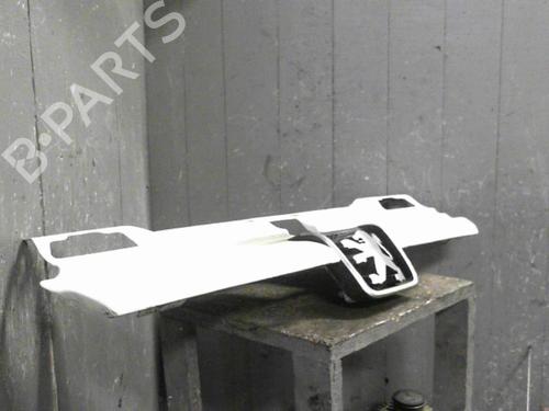 Used Grille PEUGEOT 406 Break (8E/F) 1.8 16V (110 hp) 24064434