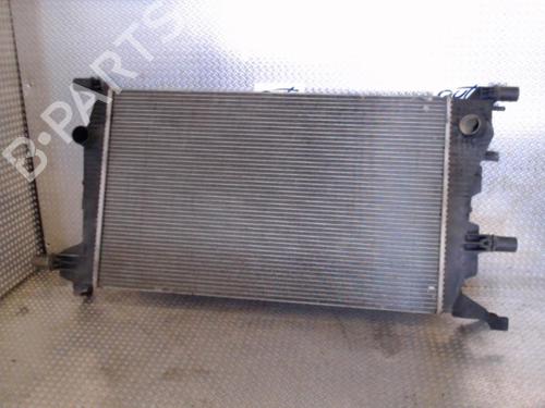 Used Water radiator RENAULT SCÉNIC III (JZ0/1_) 1.5 dCi (110 hp) 24074253