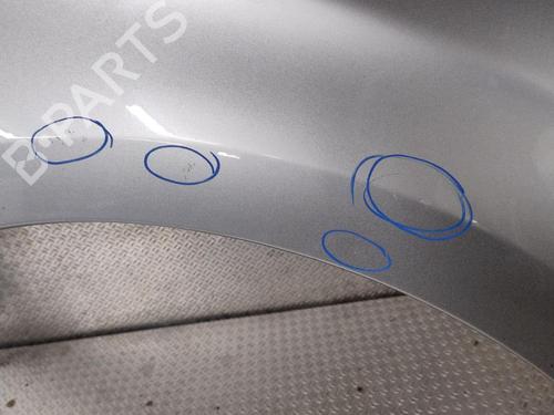 Right front fenders CITROËN C4 II (NC_) 1.6 HDi 90 | BP26304322C42 