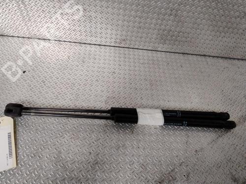 Used Tailgate lift support CITROËN C3 I (FC_, FN_) 1.6 16V HDi (109 hp) 30164125