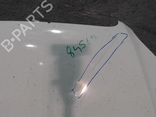 Used Hood Hood FIAT DOBLO Box Body/MPV (223_) 1.3 JTD 16V Multijet (84 hp) 24096625 24096625