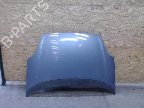 Hood FIAT GRANDE PUNTO (199_) 1.3 D Multijet | BP24071269C1