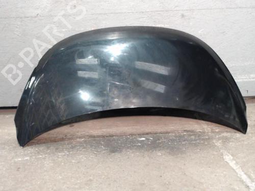 Capot Capot HYUNDAI i10 I (PA) 1.1 (67 hp) 24095420 24095420