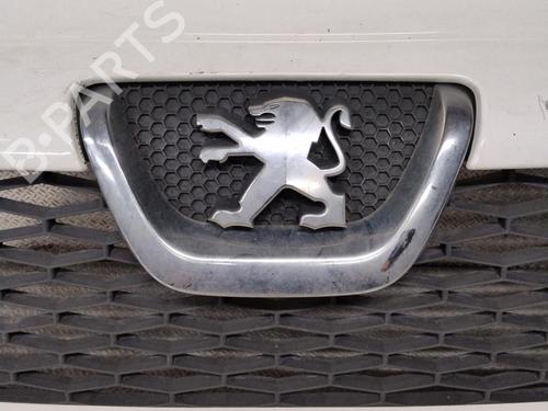 Grille PEUGEOT BOXER Van 2.2 HDi 120 | BP27268563C40