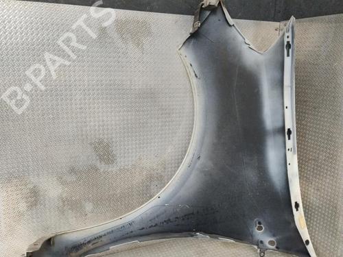 Right front fenders RENAULT CLIO III (BR0/1, CR0/1) 1.5 dCi (C/BR0G, C/BR1G) | BP28207297C42 