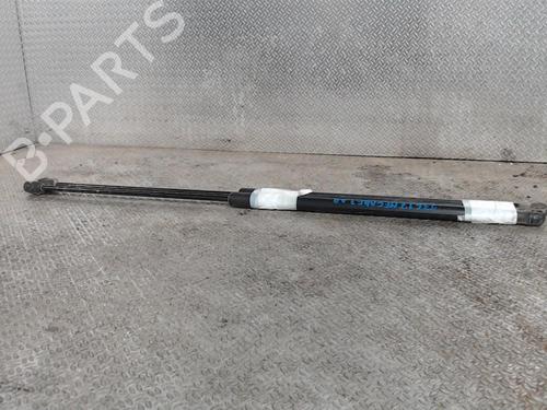 Used Tailgate lift support RENAULT MEGANE III Coupe (DZ0/1_) 1.6 16V (DZ0U, DZ1B, DZ1H) (110 hp) 24076320