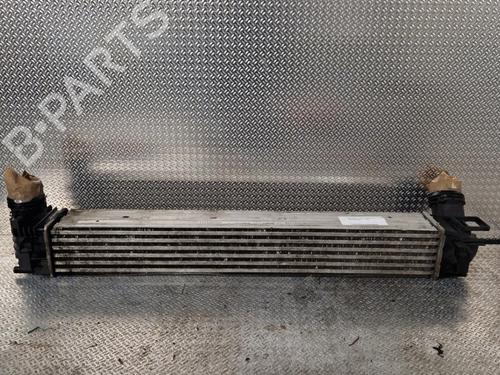 Intercooler Intercooler RENAULT SCÉNIC III (JZ0/1_) 1.5 dCi (110 hp) 36463796 36463796