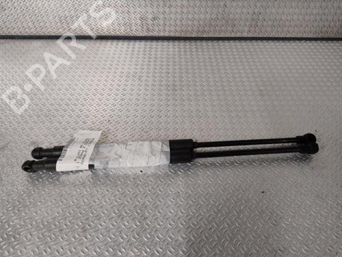 Gasdæmper bagklap RENAULT TWINGO II (CN0_) 1.2 (CN0D) (58 hp) 24420231