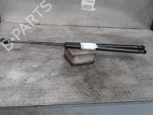 tailgate-lift-support-peugeot-1007-km_-2005-24092323 main image