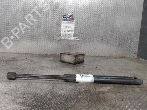 Used Tailgate lift support RENAULT MEGANE III Hatchback (BZ0/1_, B3_) 1.5 dCi (BZ09, BZ0D, BZ1W, BZ29, BZ14) (110 hp) 24088602
