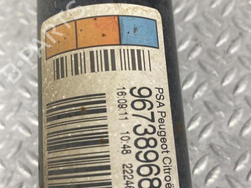 Venstre bagtil støddæmper CITROËN C3 II (SC_) 1.4 VTi 95 | BP24060176M18