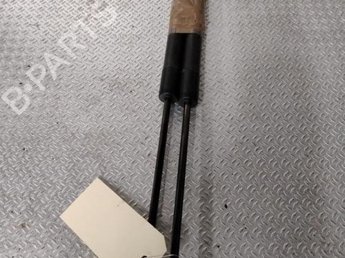 Used Tailgate lift support RENAULT SCÉNIC III (JZ0/1_) 1.5 dCi (110 hp) 30366058