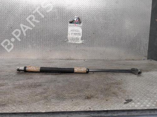 Used Tailgate lift support SKODA FABIA II (542) 1.4 TDI (70 hp) 24097276