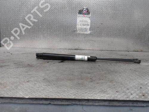 tailgate-lift-support-fiat-500-312_-2007-24095502 main image