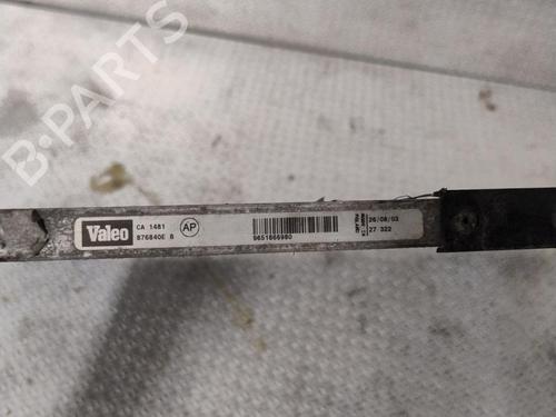 Heater matrix PEUGEOT 206 Hatchback (2A/C) 1.4 i | BP27393775M63 