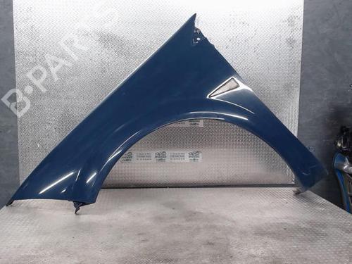 Used Left front fenders RENAULT MEGANE II (BM0/1_, CM0/1_) 1.5 dCi (BM02, BM13, BM2A, CM02, CM13) (101 hp) 24096354