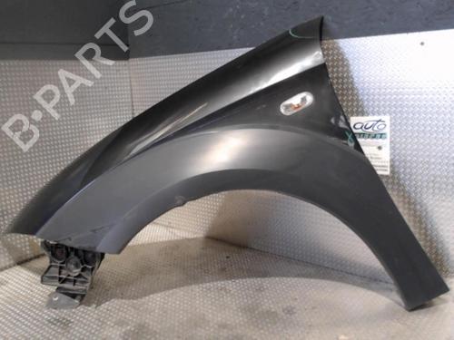 Left front fenders SEAT ALTEA XL (5P5, 5P8) 2.0 TDI 4x4 | BP24077617C41 