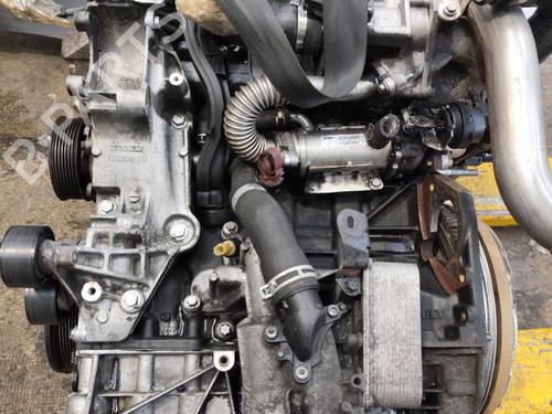Engine RENAULT LAGUNA Coupe (DT0/1) 2.0 dCi (DT01, DT08, DT09, DT0K, DT12, DT1C, DT1D, DT1M,... | BP33031382M1 - Image 3