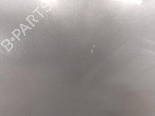 Right front door NISSAN QASHQAI I (J10, NJ10) 2.0 dCi All-wheel Drive | BP29214911C3 