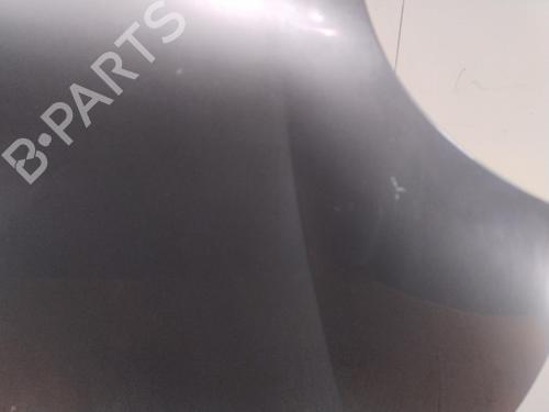 Used Hood RENAULT KANGOO (KC0/1_) 1.9 dTi (KC0U) (80 hp) 29197302